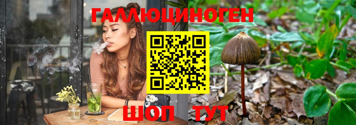 закладка  Псилоцибиновые грибы Magic Shrooms  Керчь  Вход с VPN  Галлюциногенные грибы MAGIC MUSHROOMS 